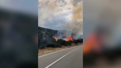 Isparta’nın Eğirdir ilçesine bağlı Barla Köyü yolu üzerinde orman yangını