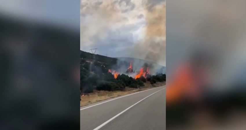 Isparta’nın Eğirdir ilçesine bağlı Barla Köyü yolu üzerinde orman yangını