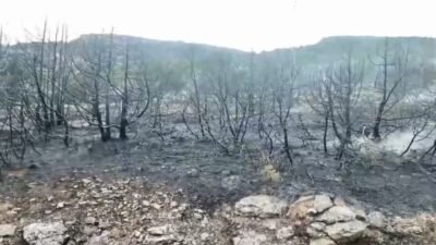 Isparta’nın Eğirdir ilçesine bağlı Barla Köyü yolu üzerinde çıkan orman