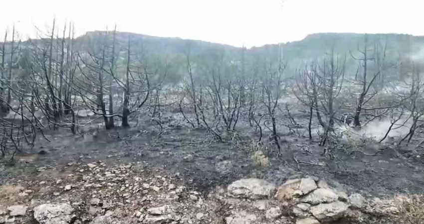 Isparta’nın Eğirdir ilçesine bağlı Barla Köyü yolu üzerinde çıkan orman