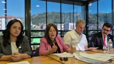 İYİ Parti Genel Başkan Yardımcısı ve Manisa Milletvekili Şenol Sunat,