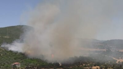 İzmir'in Bornova ilçesi İnönü Mahallesi'nde ormanlık alanda çıkan yangına karadan
