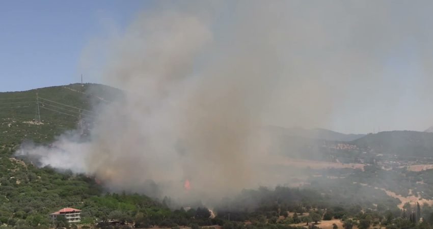 İzmir'in Bornova ilçesi İnönü Mahallesi'nde ormanlık alanda çıkan yangına karadan