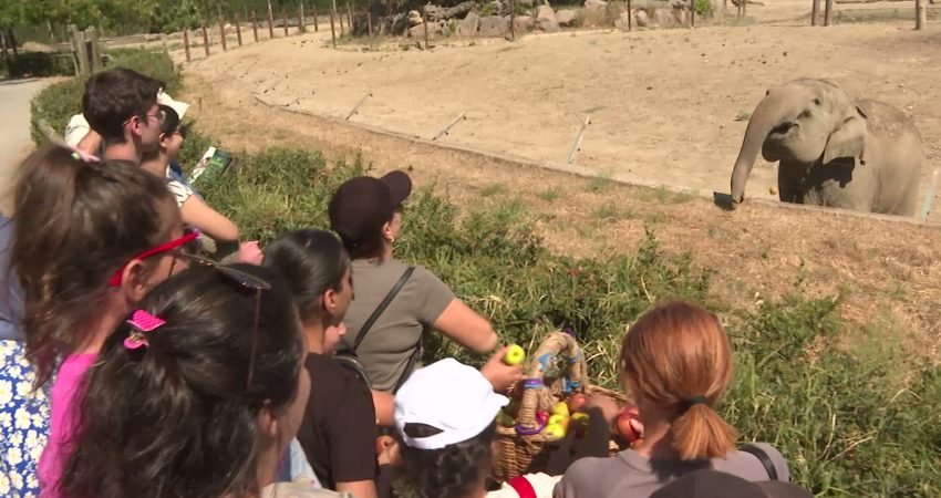 İzmir Büyükşehir Belediyesi'nin Sasalı Doğal Yaşam Parkı'na düzenlediği gezi programıyla