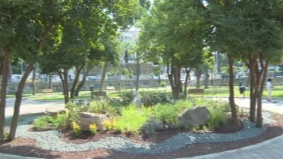 İzmir Büyükşehir Belediyesi, Buca'nın simge yeşil alanlarından Şirinyer Parkı'nı daha