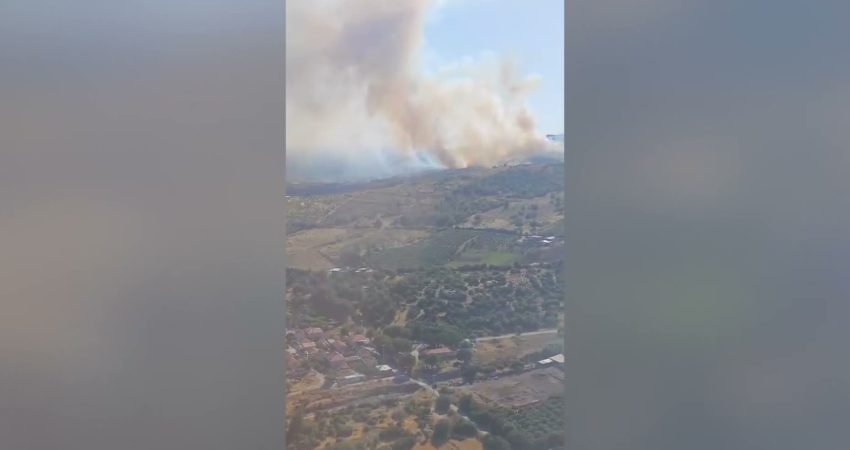 İzmir'in Menemen ilçesine bağlı Hasanlar Mahallesi'nde ziraat arazisinde çıkan ve