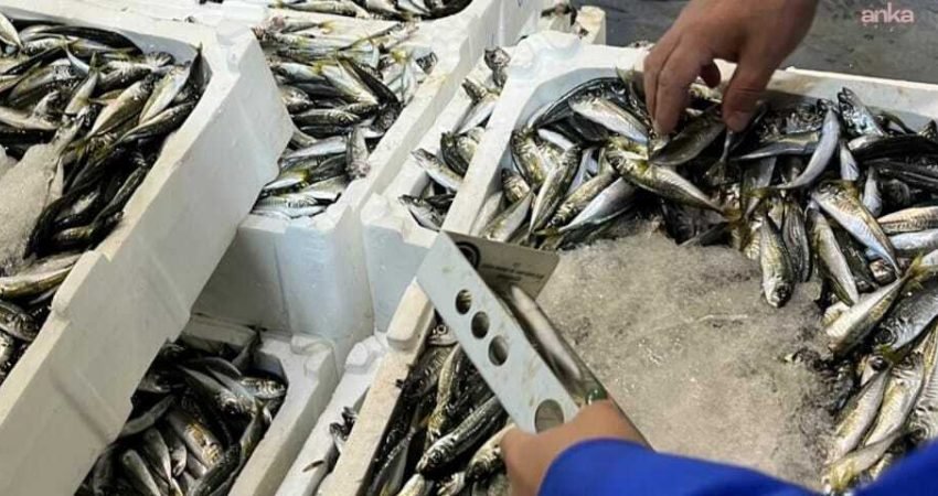 İzmir İl Tarım ve Orman Müdürlüğü Su Ürünleri Kontrol Ekiplerince,