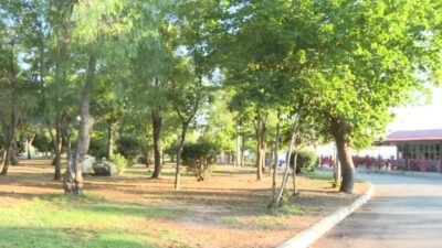 İzmir Büyükşehir Belediyesi, İnciraltı Kent Ormanı'nda kapsamlı yenileme çalışması başlattı.