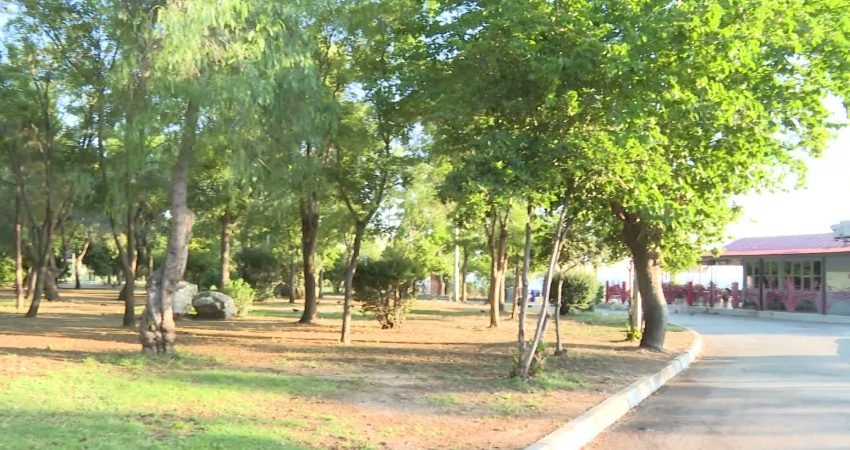 İzmir Büyükşehir Belediyesi, İnciraltı Kent Ormanı'nda kapsamlı yenileme çalışması başlattı.