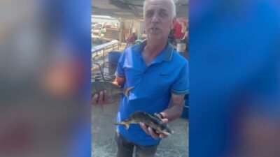 İzmir Büyükşehir Belediyesi'nin İzmir Körfezi'nde yürüttüğü dip tarama çalışmaları deniz