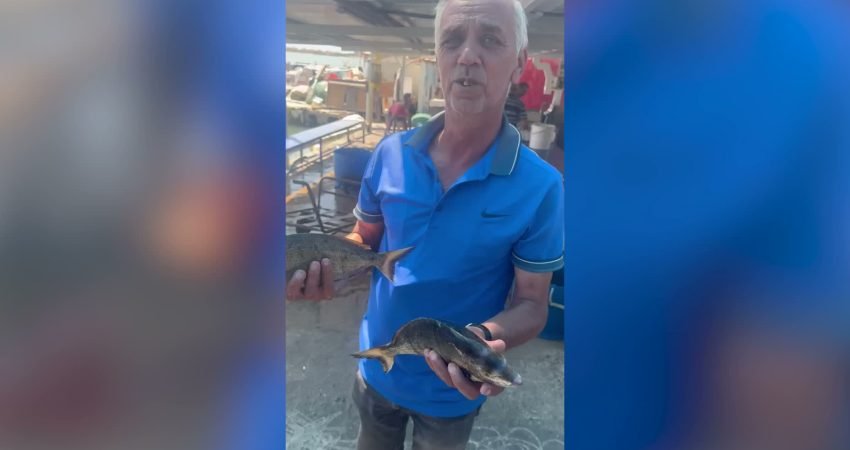 İzmir Büyükşehir Belediyesi'nin İzmir Körfezi'nde yürüttüğü dip tarama çalışmaları deniz
