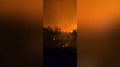 İzmir'in Dikili ilçesine bağlı Çandarlı Mahallesi mevkisinde çıkan yangına ekiplerin