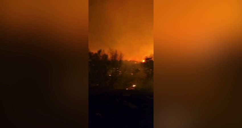 İzmir'in Dikili ilçesine bağlı Çandarlı Mahallesi mevkisinde çıkan yangına ekiplerin