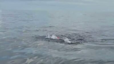 İzmir Büyükşehir Belediyesi’nin 23 yaşındaki otizmli yüzme sporcusu Tuna Tunca,