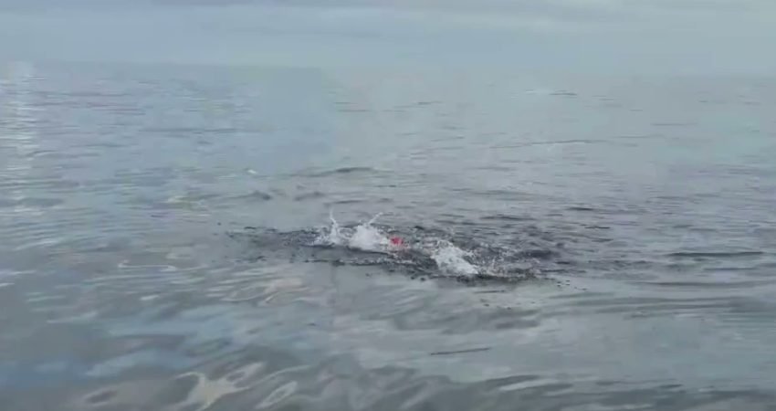 İzmir Büyükşehir Belediyesi’nin 23 yaşındaki otizmli yüzme sporcusu Tuna Tunca,