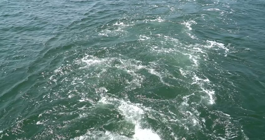 İzmir Büyükşehir Belediyesi’nin düzenlediği Körfez turu, yaza renk kattı. Tarihi