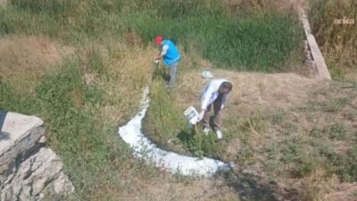 Kahramankazan Belediyesi Veteriner İşleri Müdürlüğü ekipleri, yaz aylarında artış gösteren