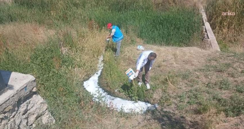 Kahramankazan Belediyesi Veteriner İşleri Müdürlüğü ekipleri, yaz aylarında artış gösteren