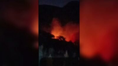 Aydın'ın Karacasu ilçesinde sabaha karşı çıkan orman yangınında yaklaşık 20