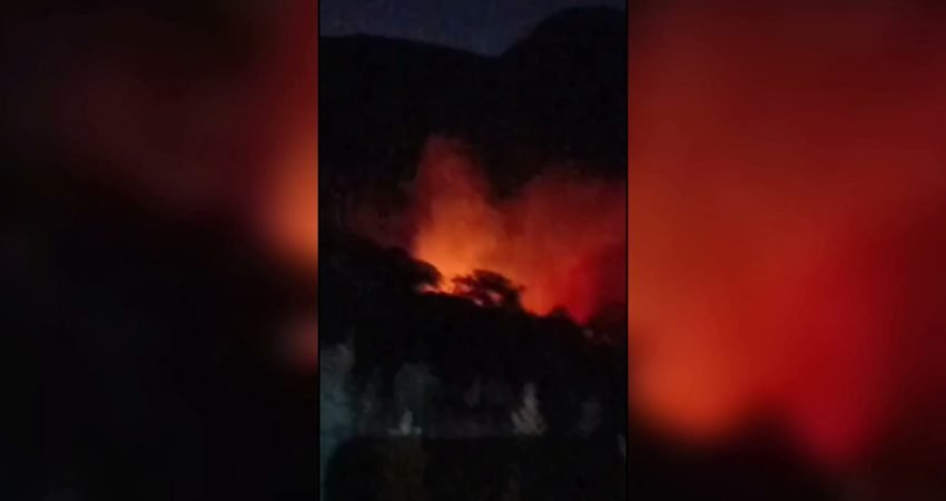 Aydın'ın Karacasu ilçesinde sabaha karşı çıkan orman yangınında yaklaşık 20