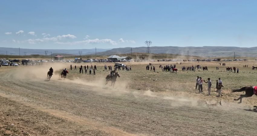 Bingöl’ün Karlıova ilçesinde düzenlenen Doğa ve Kültür Festivali, Toklular köyündeki
