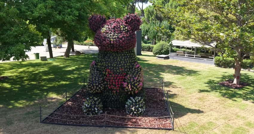 İzmir Büyükşehir Belediyesi, Kültürpark'ta yürüttüğü gençleştirme çalışmaları kapsamında ayı, köpek