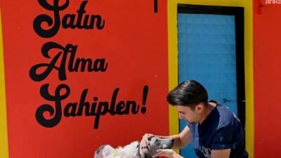 Kuşadası Belediyesi tarafından 2020 yılında başlatılan “Satın alma sahiplen” kampanyası