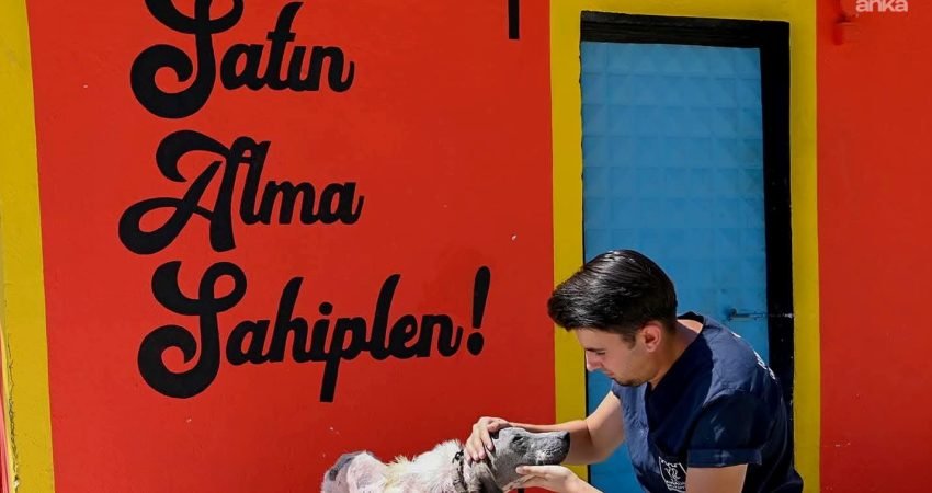 Kuşadası Belediyesi tarafından 2020 yılında başlatılan “Satın alma sahiplen” kampanyası