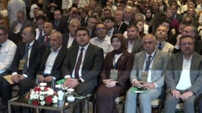 Malatya Büyükşehir Belediyesi, Birleşmiş Milletler İklim Değişikliği Çerçeve Sözleşmesi (BMİDÇS)