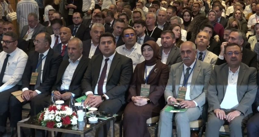 Malatya Büyükşehir Belediyesi, Birleşmiş Milletler İklim Değişikliği Çerçeve Sözleşmesi (BMİDÇS)