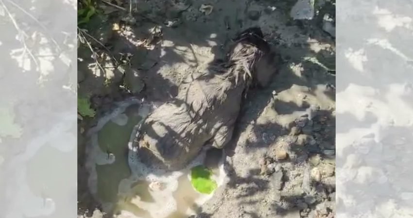 Malatya'da bir beton mikserinin çalışma alanına döktüğü betonun içerisinde mahsur