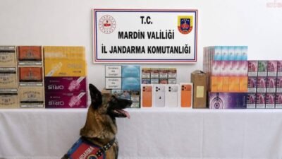 Mardin İl Jandarma Komutanlığı ekiplerince Artuklu ve Nusaybin ilçelerinde düzenlenen