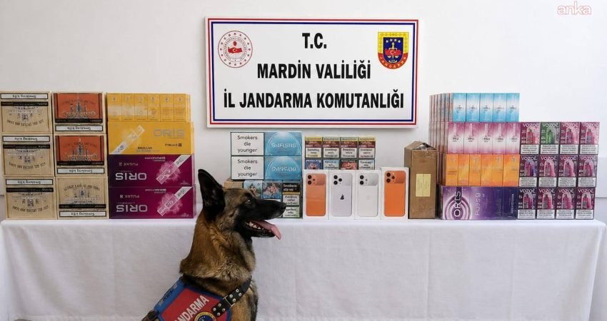 Mardin İl Jandarma Komutanlığı ekiplerince Artuklu ve Nusaybin ilçelerinde düzenlenen
