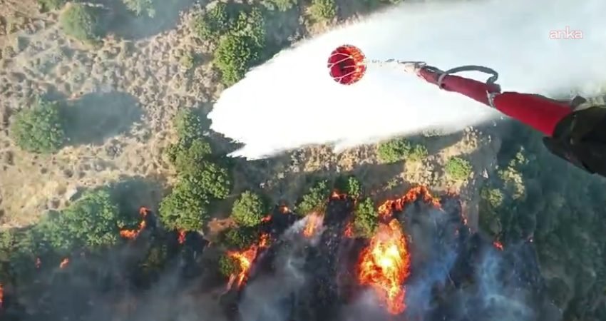 İzmir'in Menemen ilçesine bağlı Hasanlar Mahallesi'nde tarım arazisinde çıkan ve