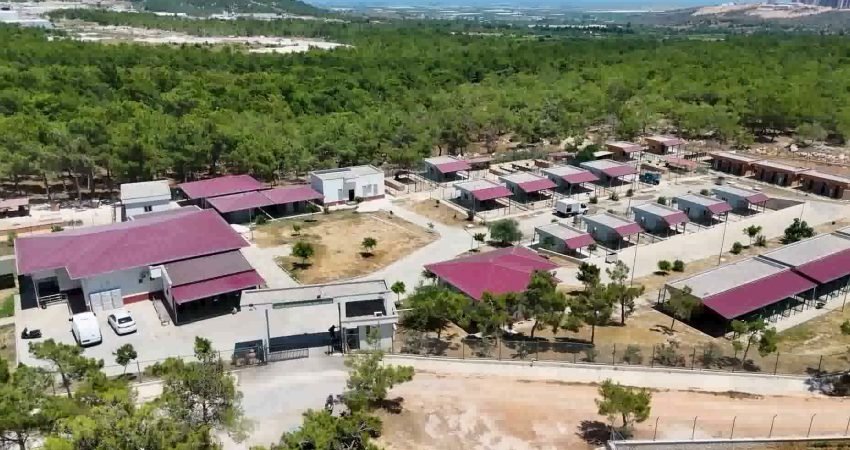 Mersin Büyükşehir Belediyesi Veteriner İşleri Dairesi Başkanlığı bünyesinde faaliyet gösteren