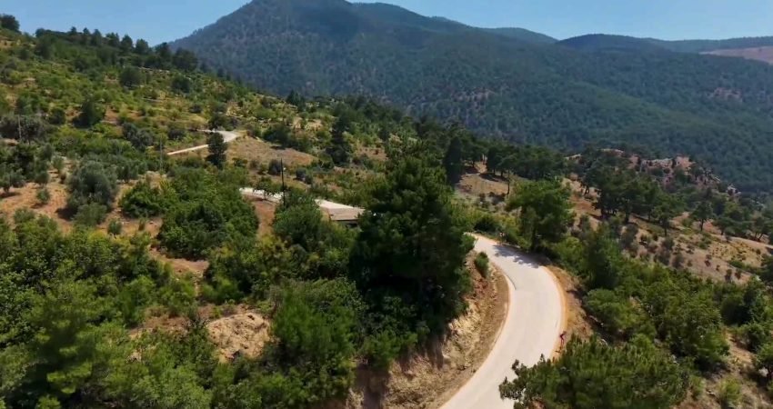 Mersin Büyükşehir Belediyesi Yol Yapım, Bakım ve Onarım Dairesi Başkanlığı