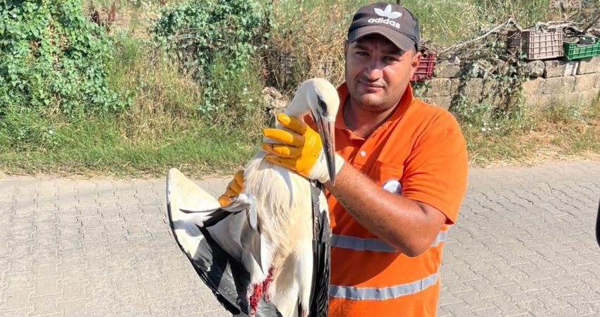 Milas Belediyesi Temizlik İşleri Müdürlüğü personeli Ufuk Güçlü'nün görev sırasında