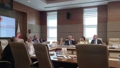 TBMM Milli Eğitim, Kültür, Gençlik ve Spor Komisyonu'nda, DEM Partili