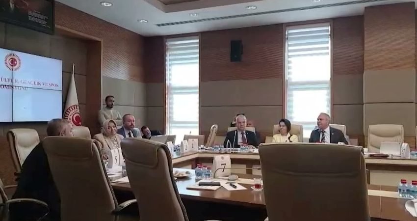 TBMM Milli Eğitim, Kültür, Gençlik ve Spor Komisyonu'nda, DEM Partili