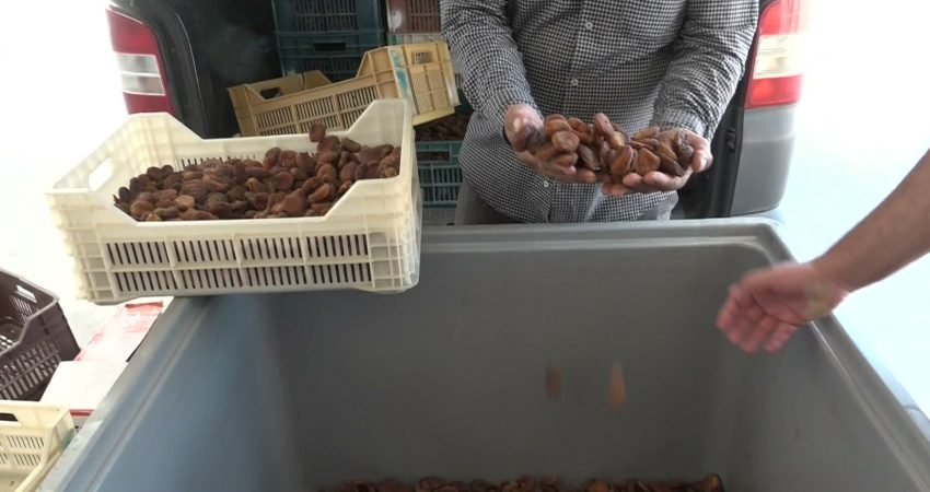 Malatya Ticaret Borsası (MTB) Başkanı Ramazan Özcan, kuru kayısı sezonunun