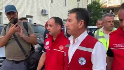 Muğla Büyükşehir Belediye Başkanı Ahmet Aras, Fethiye'deki orman yangınına ilişkin,