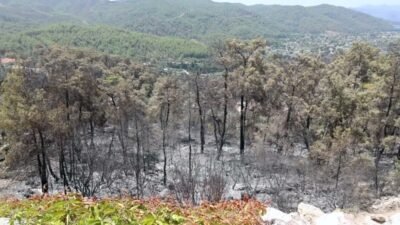 Muğla Büyükşehir Belediyesi, Fethiye'nin Gökçeovacık Mahallesi'nde çıkan orman yangınının ardından