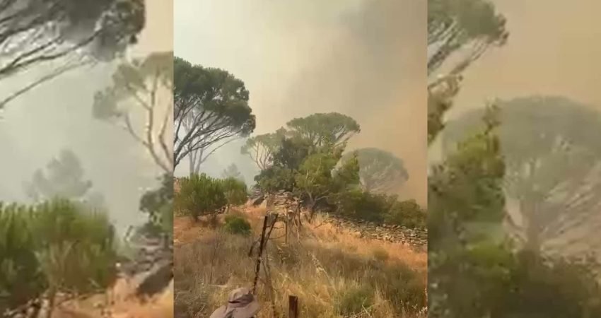 Muğla'nın Kavaklıdere ilçesinde ormanlık alanda çıkan yangına ekipler müdahale ediyor.