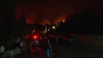 Muğla'nın Milas ilçesinde öğleden sonra başlayan orman yangını, rüzgarın etkisiyle