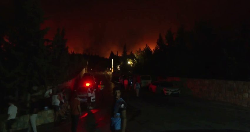 Muğla'nın Milas ilçesinde öğleden sonra başlayan orman yangını, rüzgarın etkisiyle