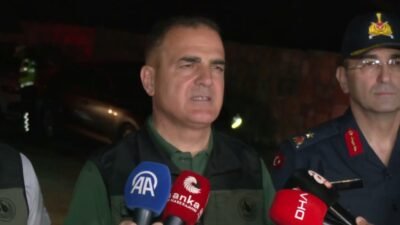Muğla'nın Milas, Ortaca ve Kavaklıdere ilçelerinde çıkan orman yangınlarına karadan