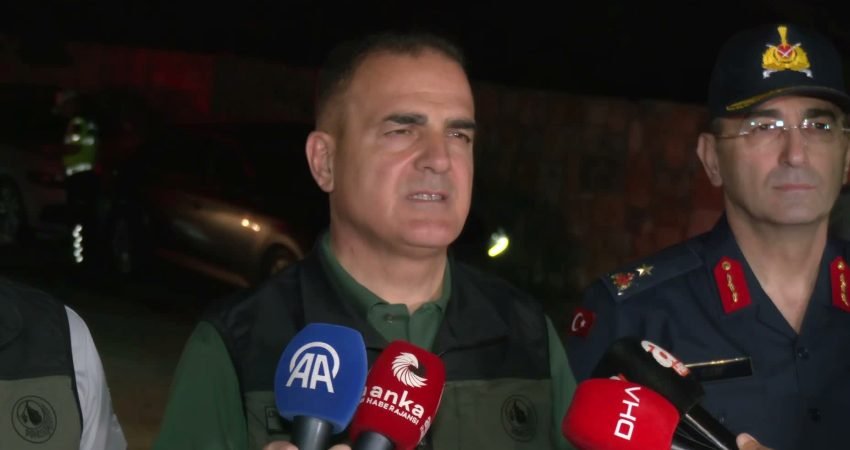 Muğla'nın Milas, Ortaca ve Kavaklıdere ilçelerinde çıkan orman yangınlarına karadan