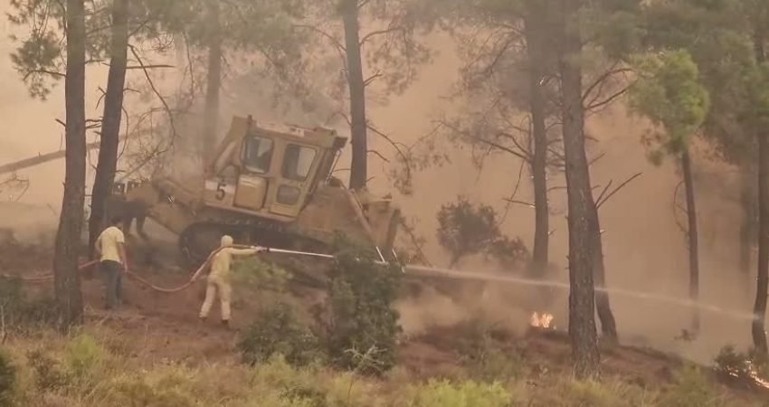 Muğla'nın Seydikemer ilçesinde zirai alanda çıkan yangına müdahale rüzgarın yön