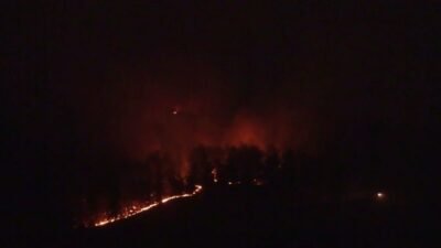 Muğla'nın Seydikemer ilçesinde sabah saatlerinde zirai alanda başlayan ve şiddetli