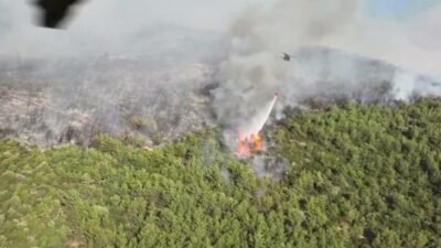 Muğla'nın Kavaklıdere, Milas ve Ortaca ilçelerinde çıkan orman yangınlarına ekiplerin